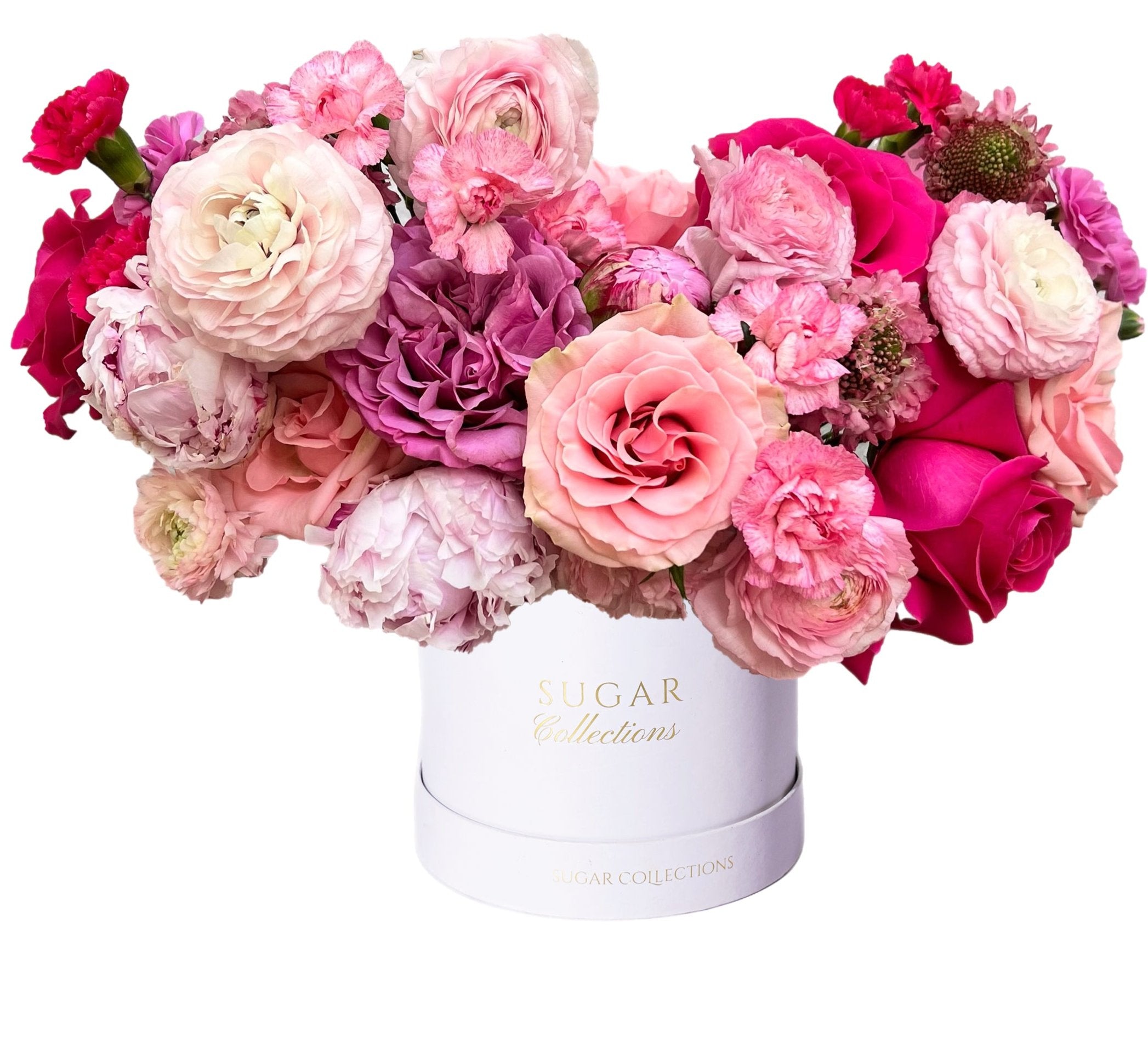 Just Because Sugar Collections Miami