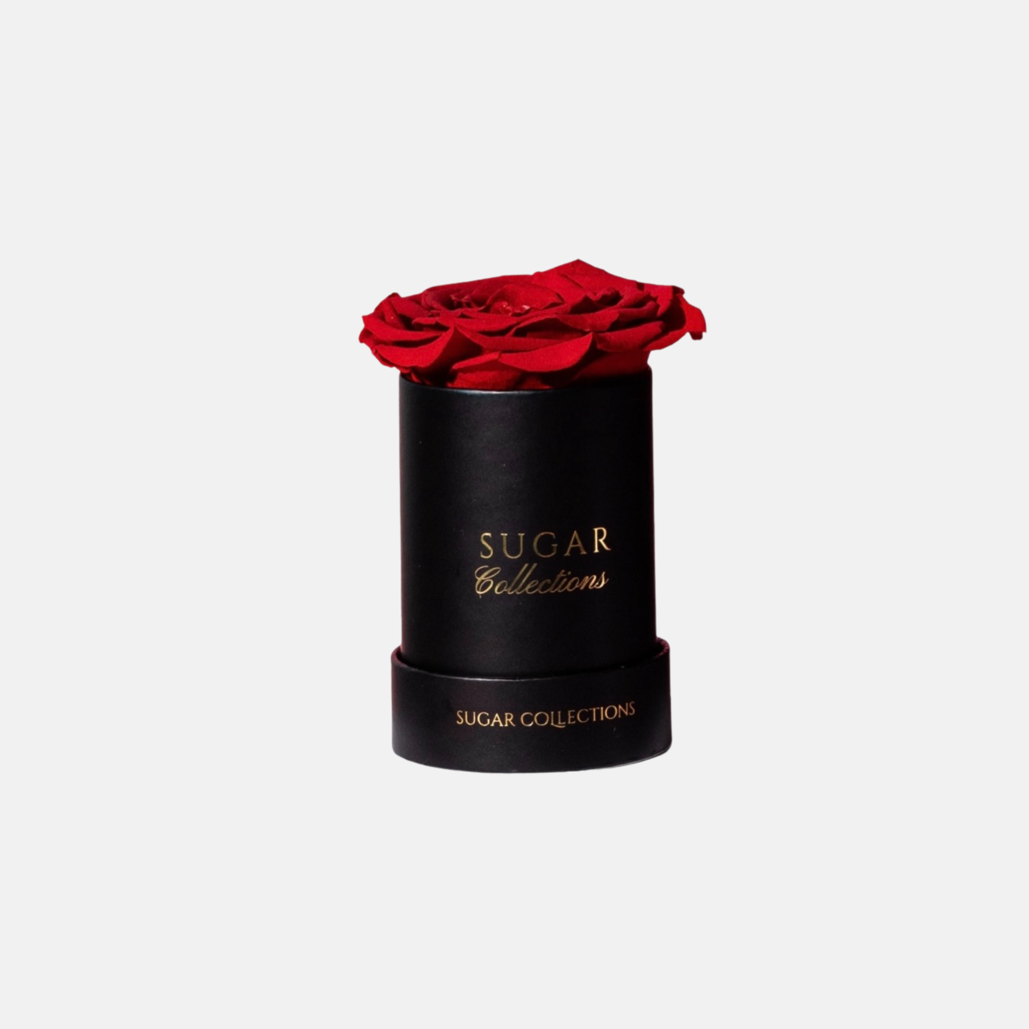 Single Preserved Rose Box - Elegant