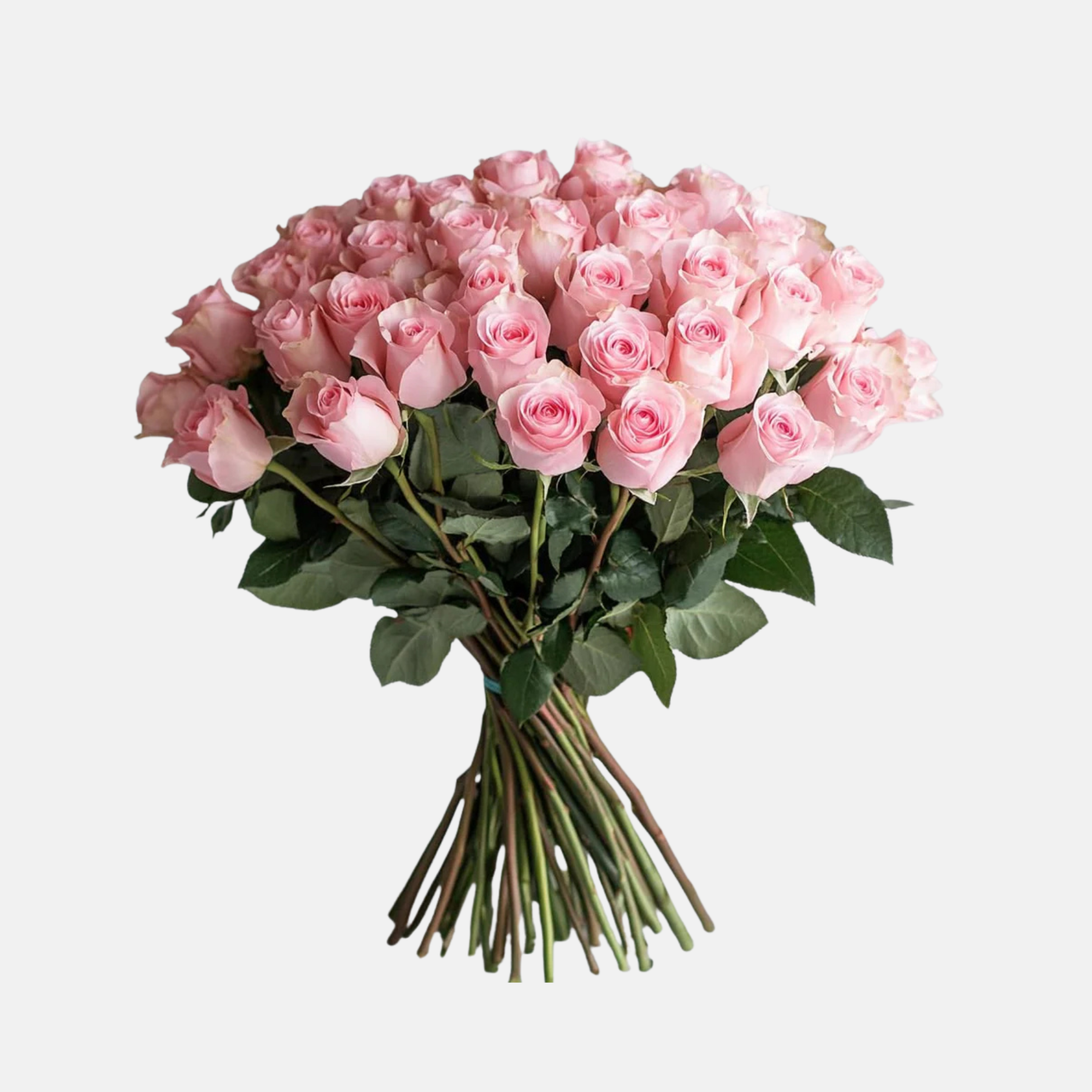 Classic Rose Bouquet - Sustainable Paper