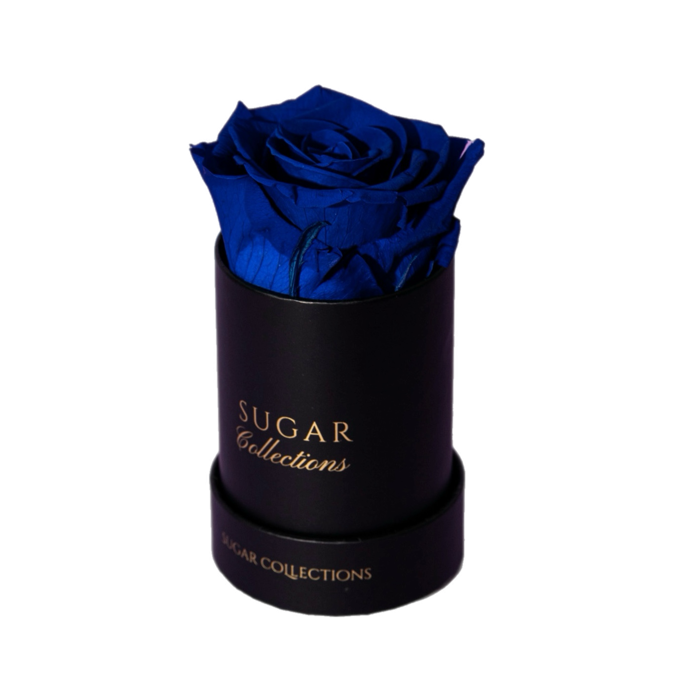 Single Preserved Rose Box - Elegant