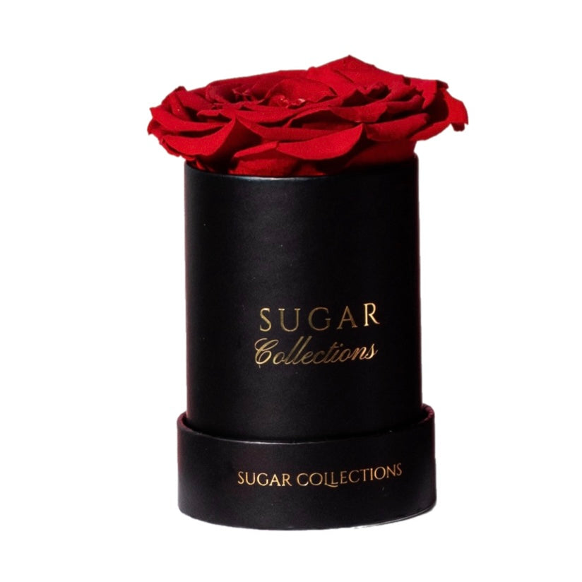 Single Preserved Rose Box