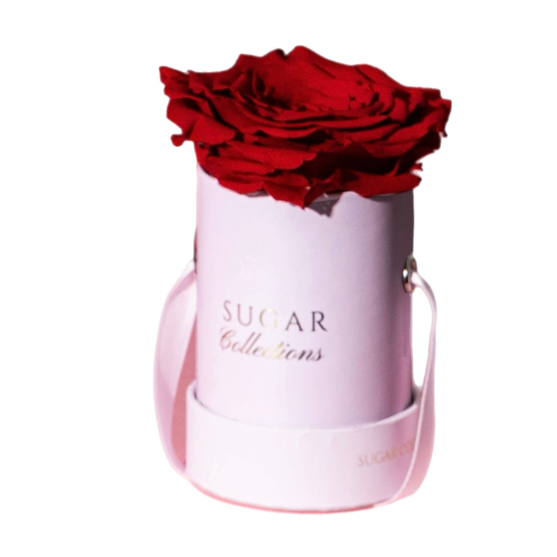 Single Preserved Rose Box - Elegant
