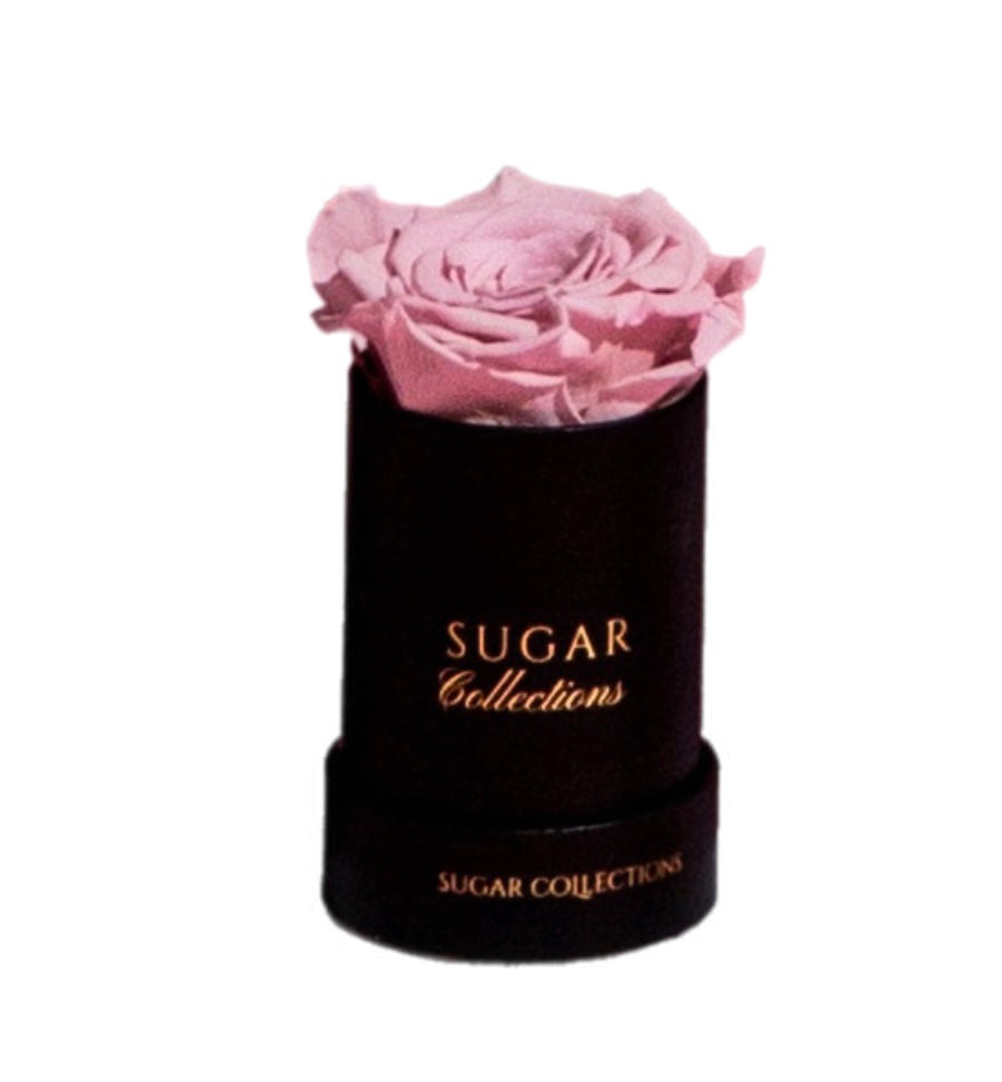 Preserved single rose Box