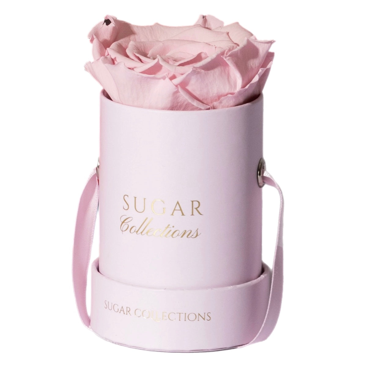 Single Preserved Rose Box - Elegant