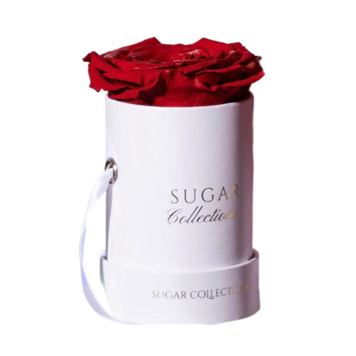 Single Preserved Rose Box