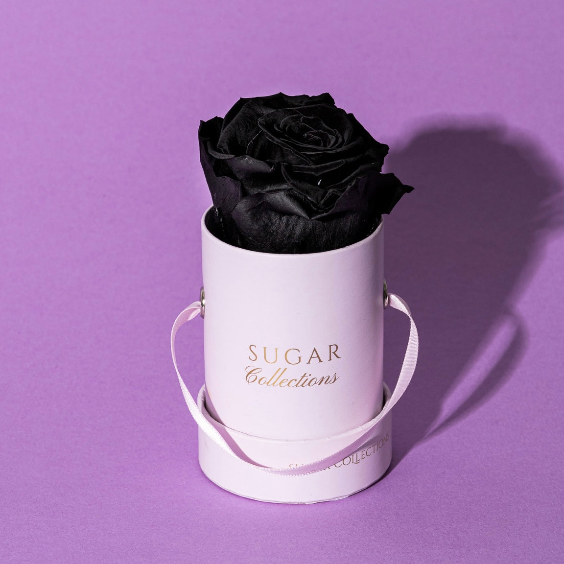 Single Preserved Rose Box - Elegant