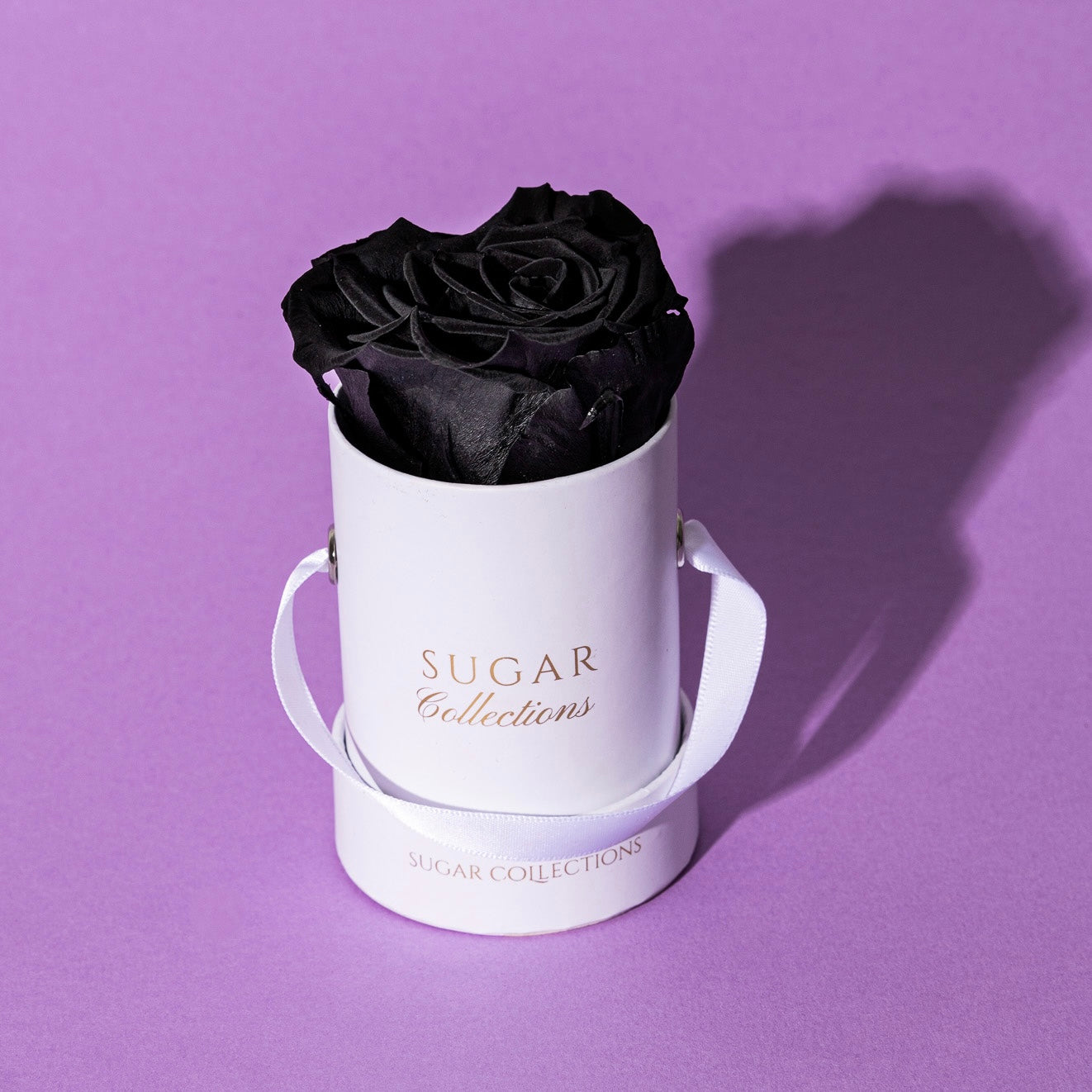 Single Preserved Rose Box - Elegant