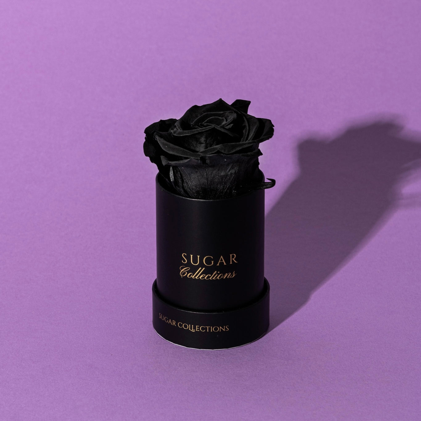 Single Preserved Rose Box - Elegant