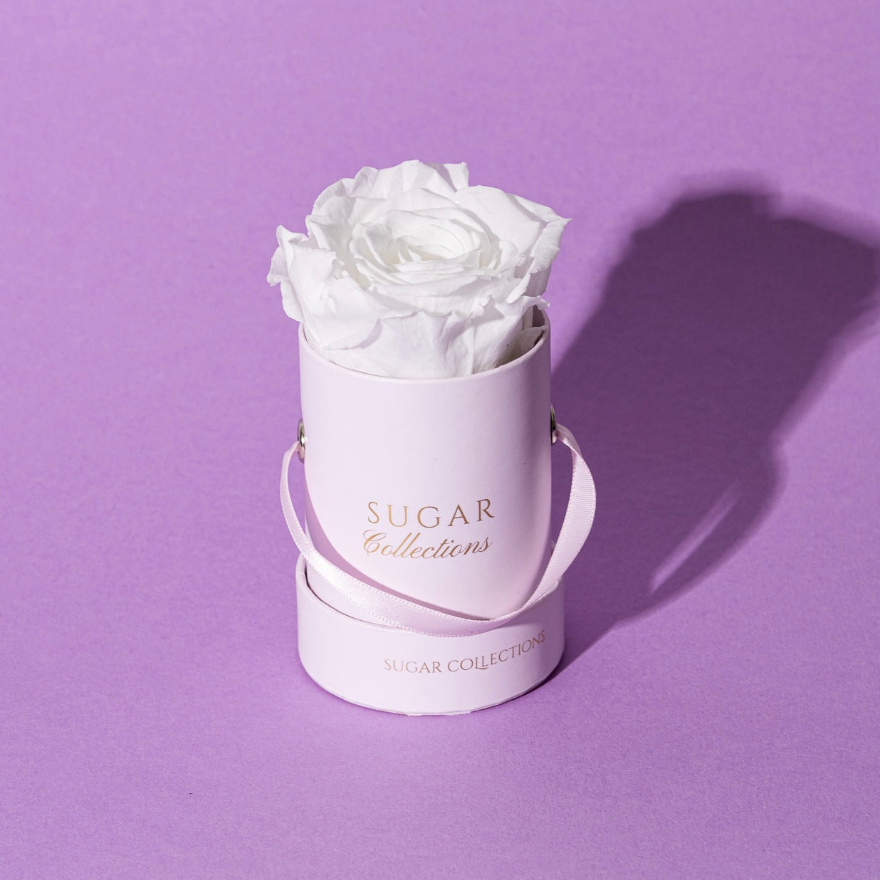 Single Preserved Rose Box - Elegant