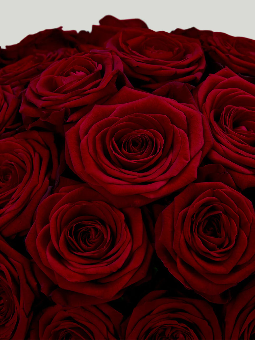 Red Rose Bouquet - Subscription