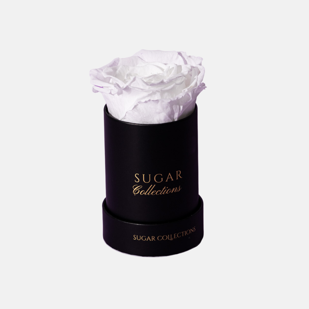 Single Preserved Rose Box - Elegant