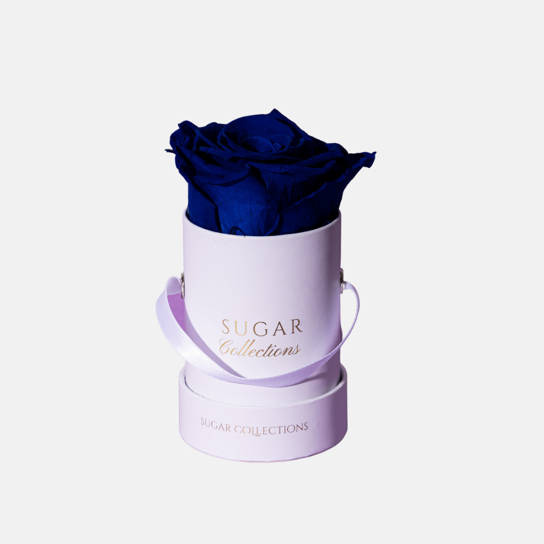 Preserved single rose Box
