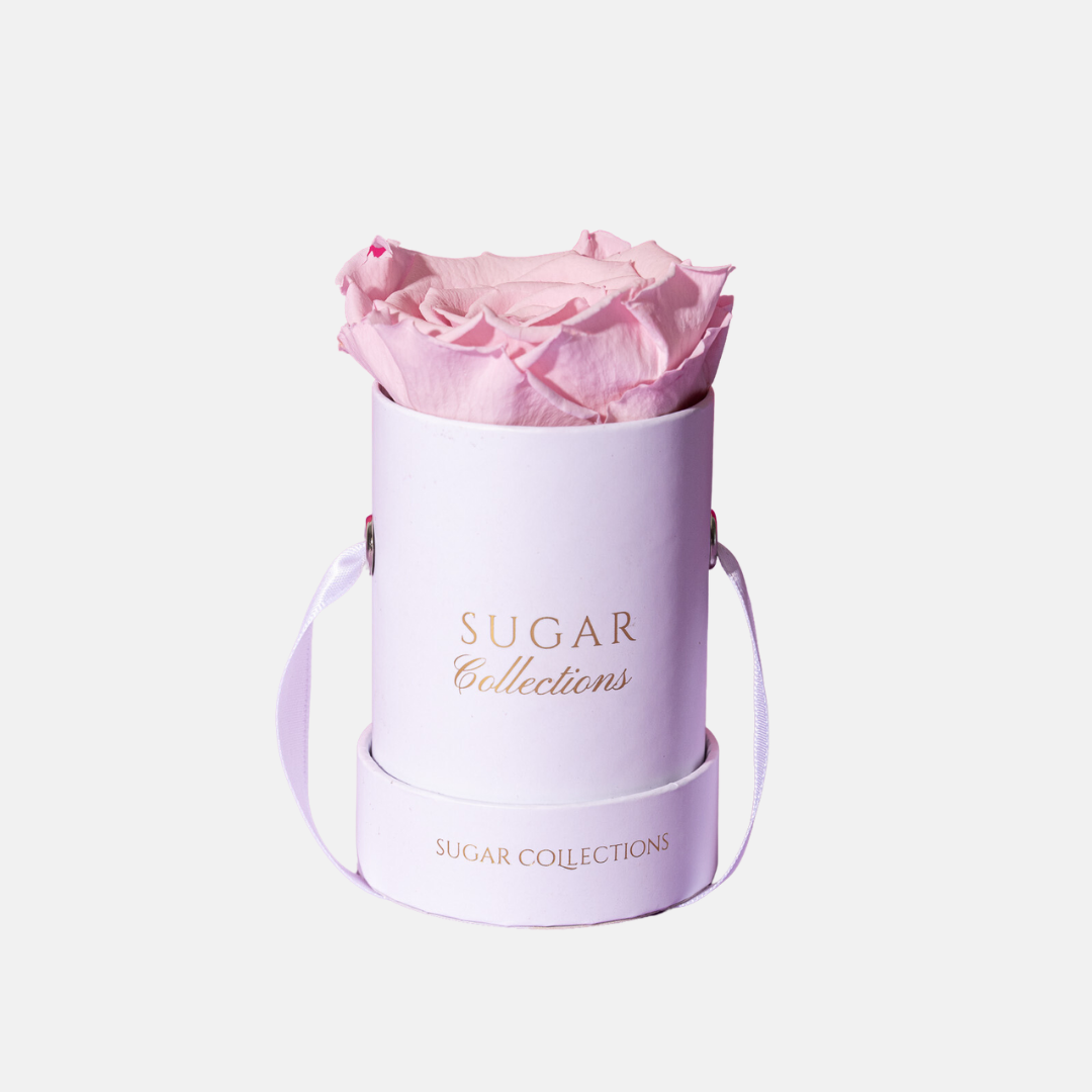 Single Preserved Rose Box - Elegant