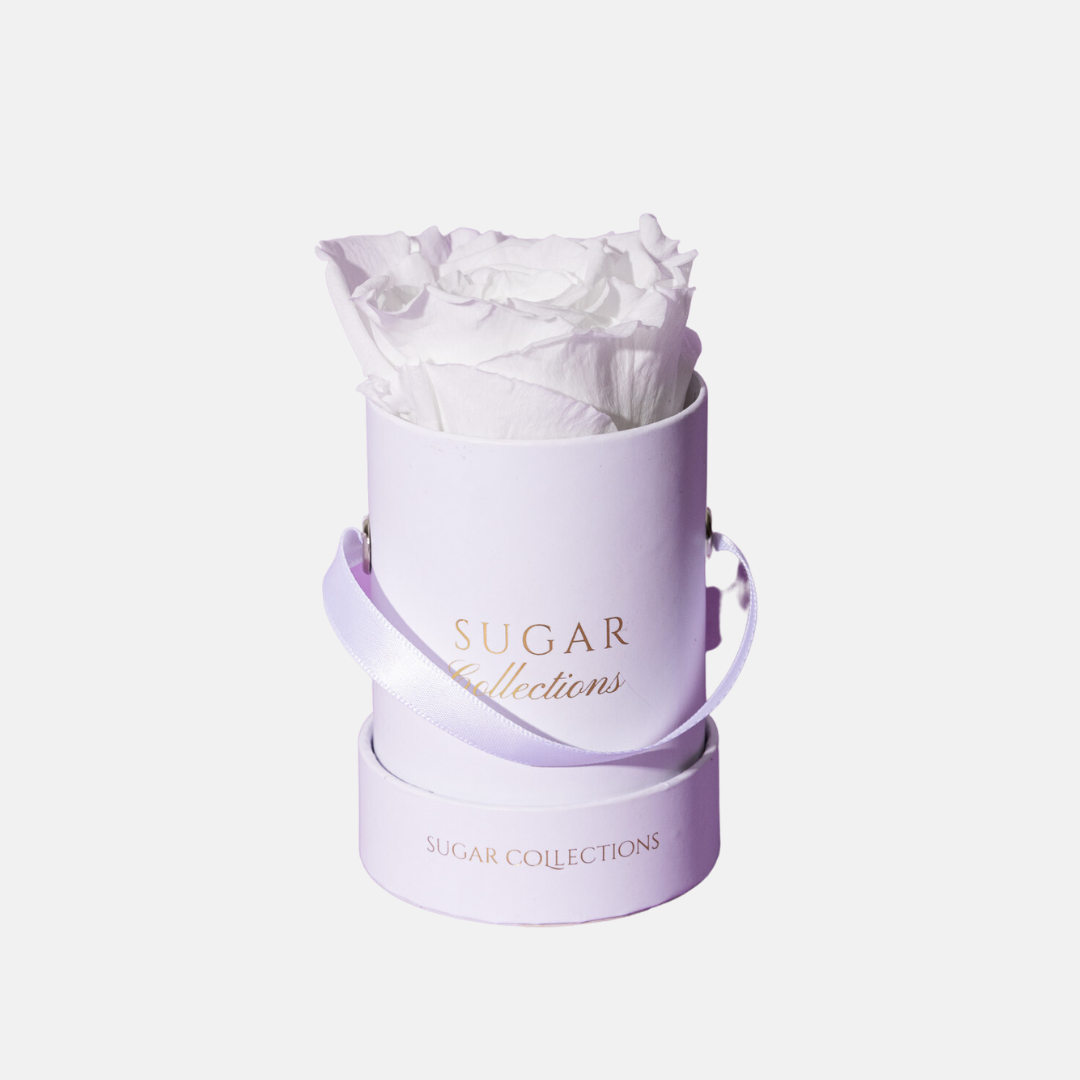 Single Preserved Rose Box - Elegant