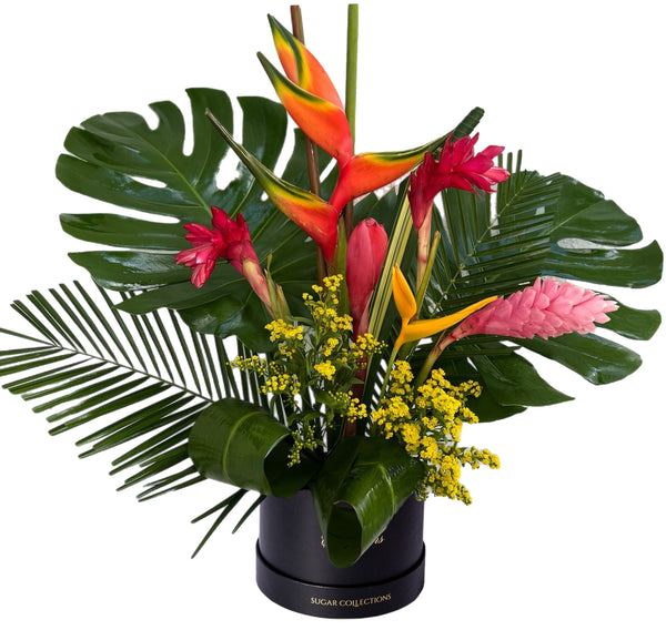 Tropical arrangement