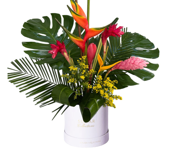 Tropical arrangement